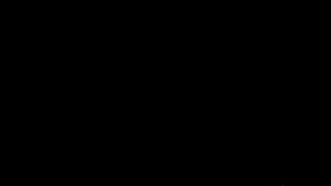 20612